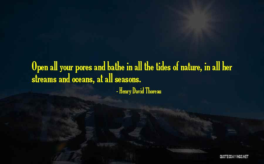 Precise Drywall Quotes By Henry David Thoreau Precise Drywall Quotes By Henry David Thoreau