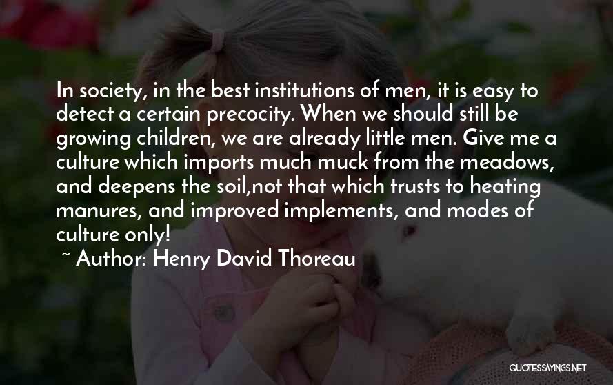 Precocity Quotes By Henry David Thoreau