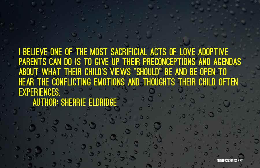 Preconceptions Quotes By Sherrie Eldridge