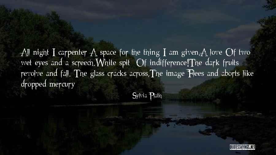 Preconditional Quotes By Sylvia Plath Preconditional Quotes By Sylvia Plath