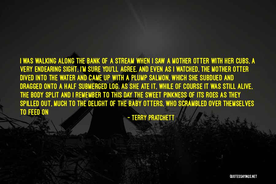 Precursory Synonym Quotes By Terry Pratchett Precursory Synonym Quotes By Terry Pratchett