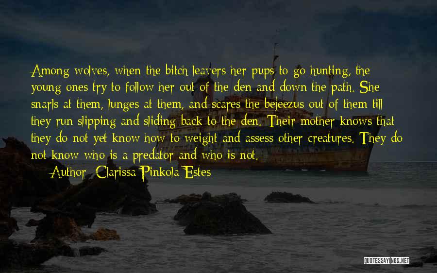Predator And Prey Quotes By Clarissa Pinkola Estes