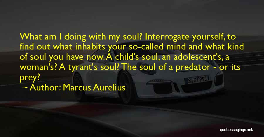 Predator And Prey Quotes By Marcus Aurelius