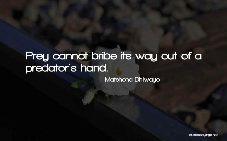 Predator And Prey Quotes Quotes By Matshona Dhliwayo Predator And Prey Quotes Quotes By Matshona Dhliwayo