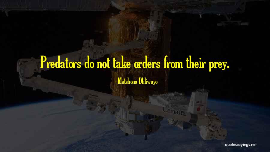 Predator And Prey Quotes Quotes By Matshona Dhliwayo Predator And Prey Quotes Quotes By Matshona Dhliwayo