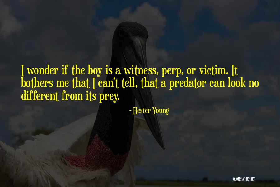 Predator Or Quotes By Hester Young Predator Or Quotes By Hester Young