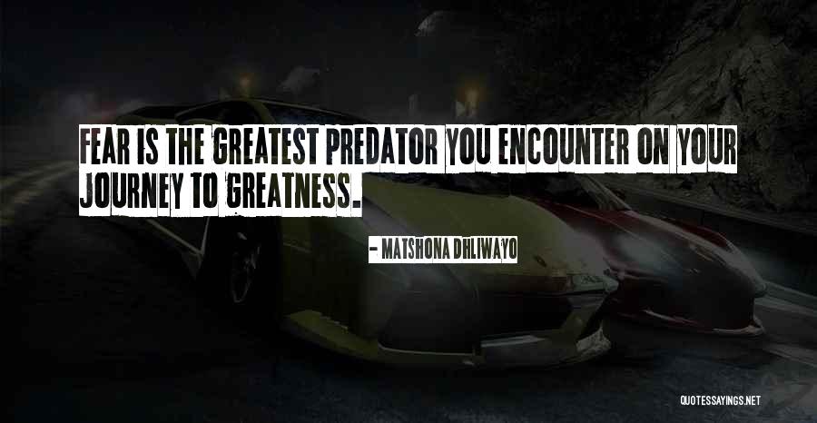 Predator Quotes By Matshona Dhliwayo Predator Quotes By Matshona Dhliwayo