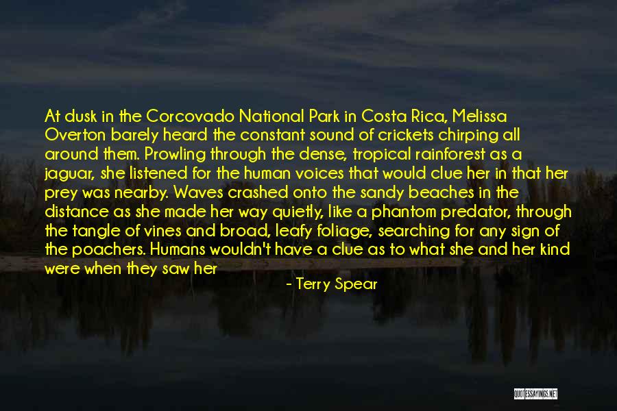 Predator Quotes By Terry Spear Predator Quotes By Terry Spear