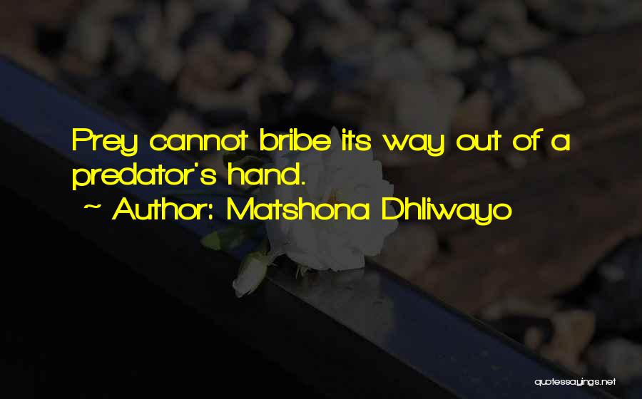 Predator Quotes Quotes By Matshona Dhliwayo