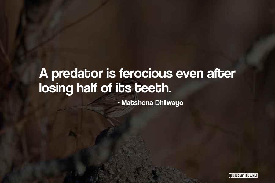 Predator Quotes Quotes By Matshona Dhliwayo