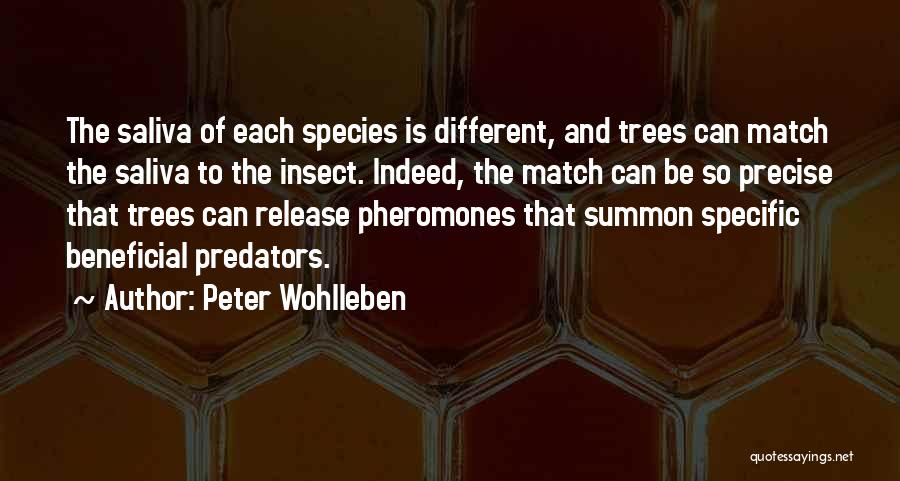 Predators 2 Quotes By Peter Wohlleben