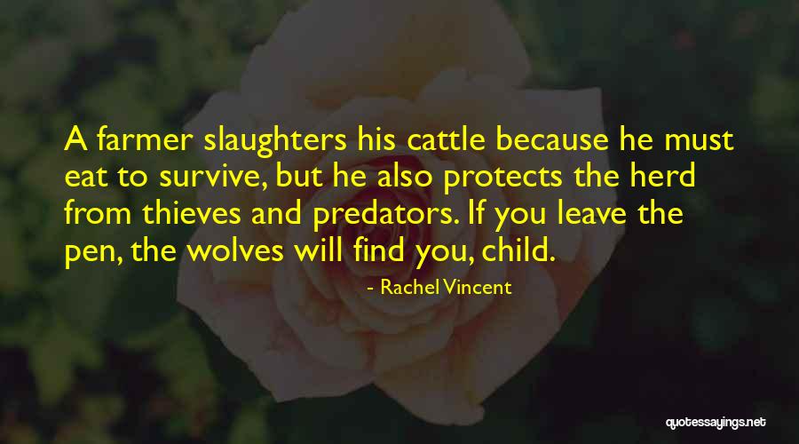 Predators Quotes By Rachel Vincent Predators Quotes By Rachel Vincent