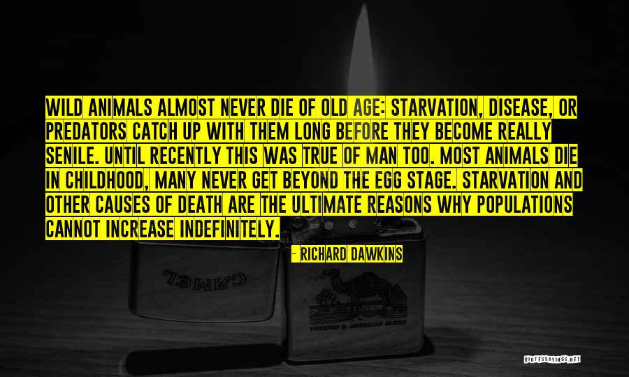 Predators Quotes By Richard Dawkins Predators Quotes By Richard Dawkins