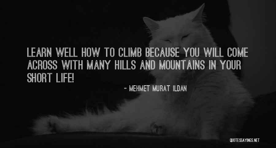 Predawn Grey Quotes By Mehmet Murat Ildan Predawn Grey Quotes By Mehmet Murat Ildan