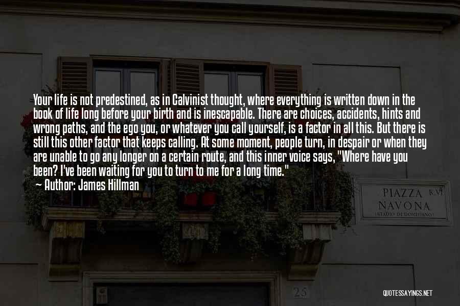 Predestined Quotes By James Hillman