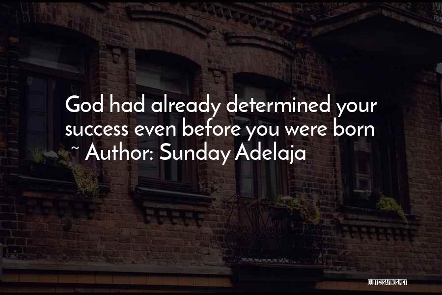 Predestined Quotes By Sunday Adelaja