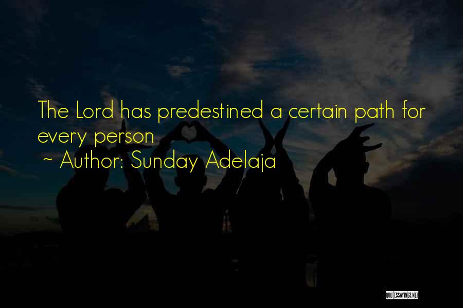 Predestined Quotes By Sunday Adelaja