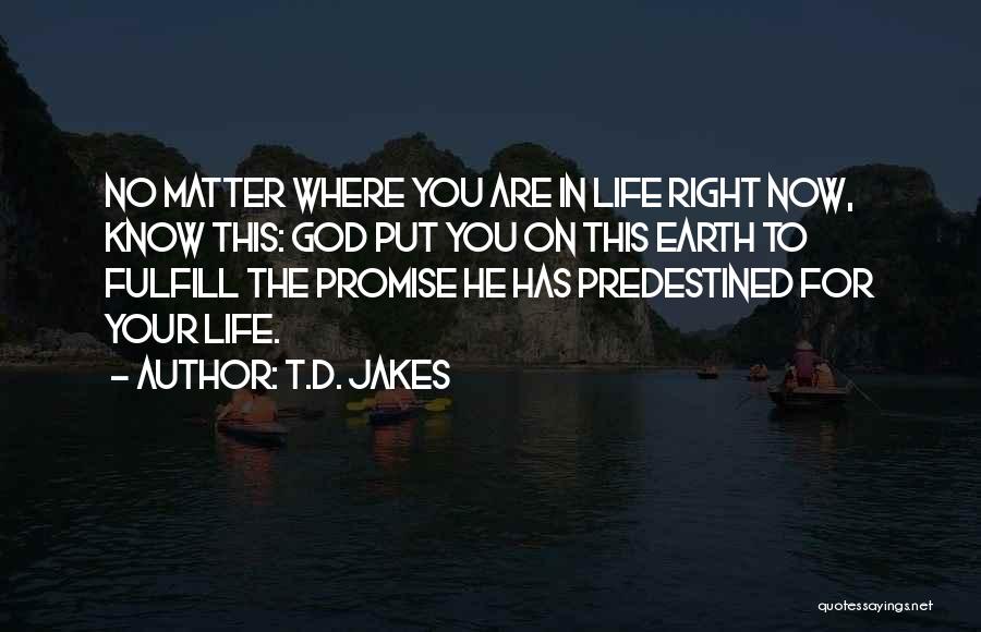 Predestined Quotes By T.D. Jakes