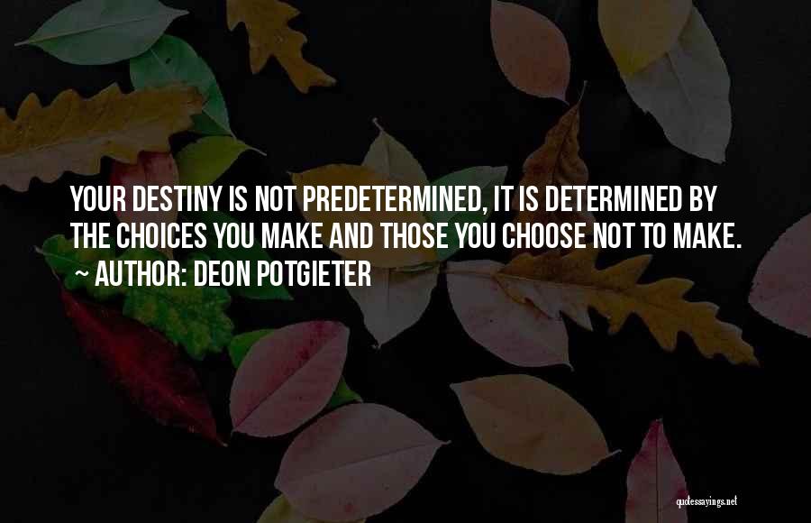 Predetermined Destiny Quotes By Deon Potgieter