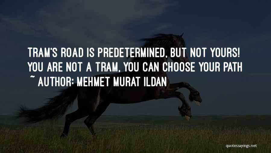 Predetermined Destiny Quotes By Mehmet Murat Ildan