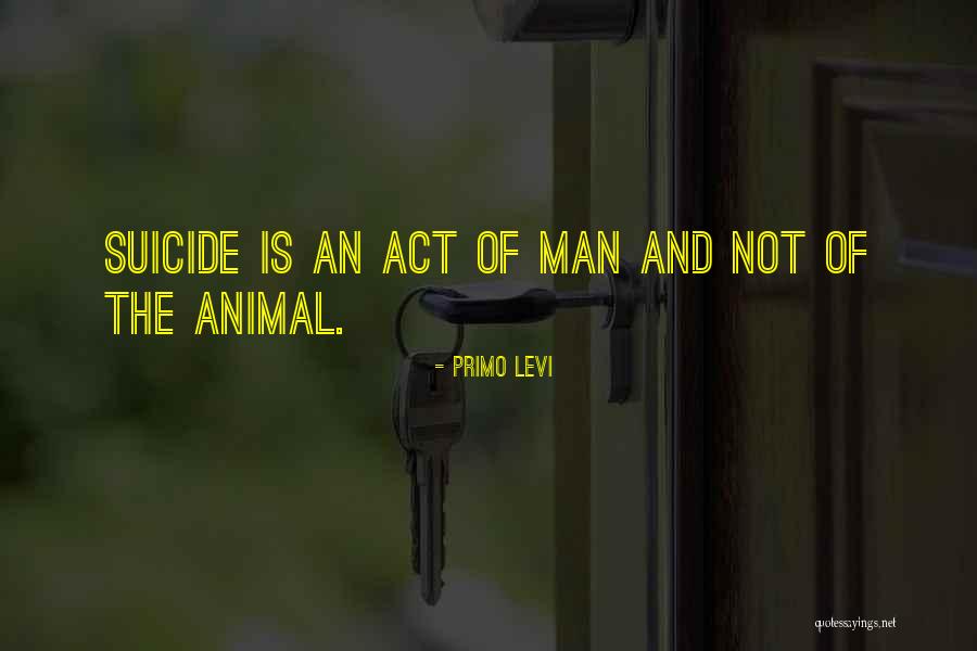 Predicacion De Yiye Quotes By Primo Levi Predicacion De Yiye Quotes By Primo Levi