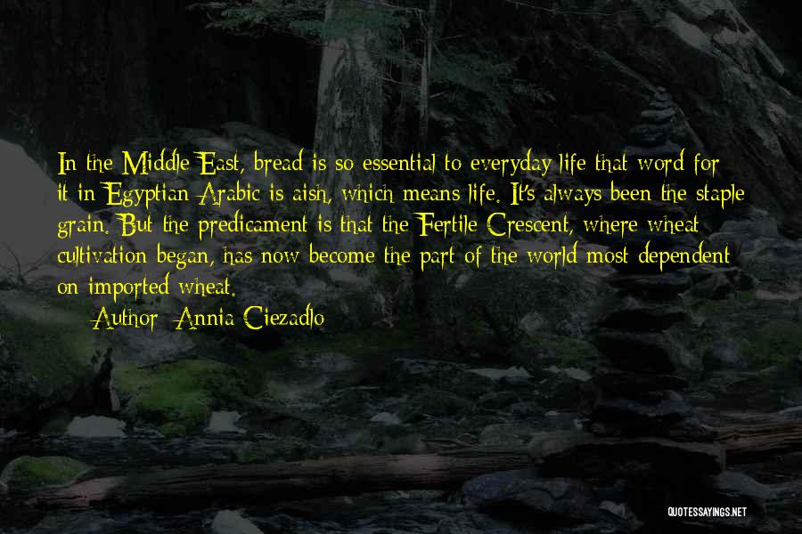 Predicament Quotes By Annia Ciezadlo