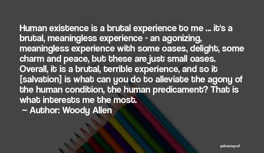 Predicament Quotes By Woody Allen