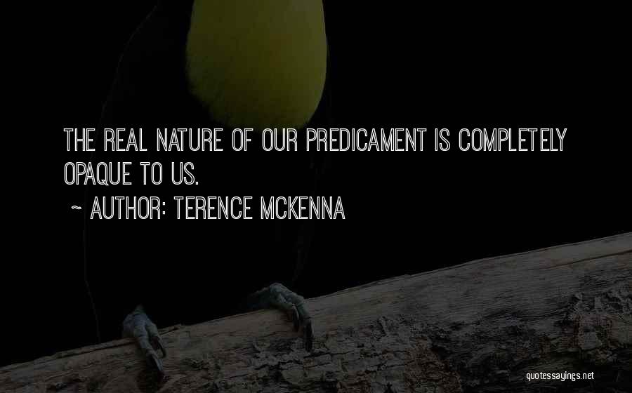 Predicaments Quotes By Terence McKenna
