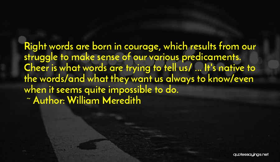Predicaments Quotes By William Meredith