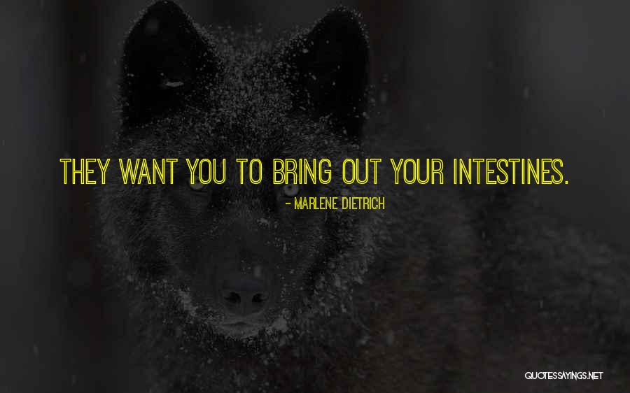 Predigested Calcium Quotes By Marlene Dietrich Predigested Calcium Quotes By Marlene Dietrich