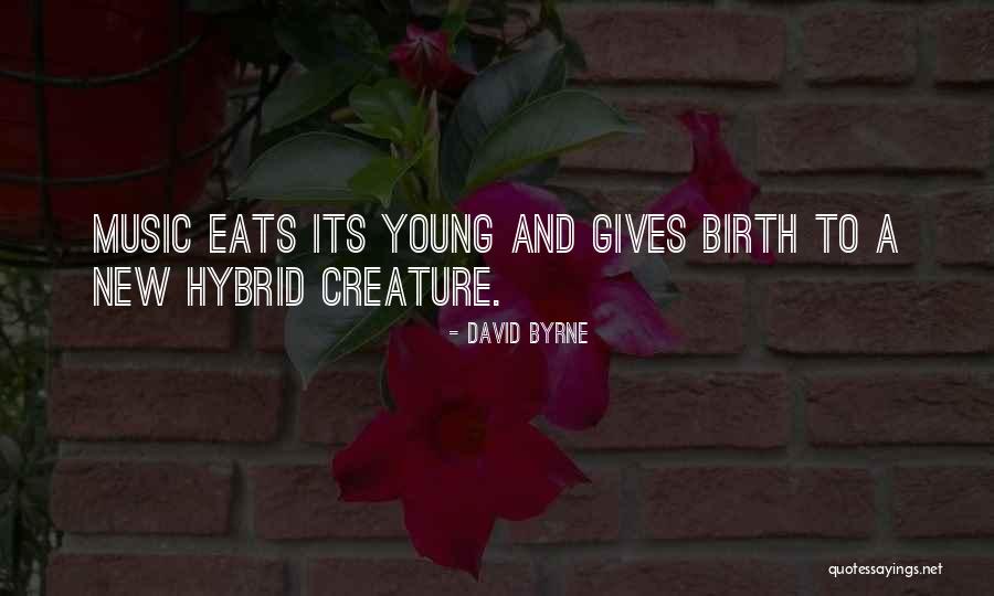 Predilecta Alimentos Quotes By David Byrne Predilecta Alimentos Quotes By David Byrne