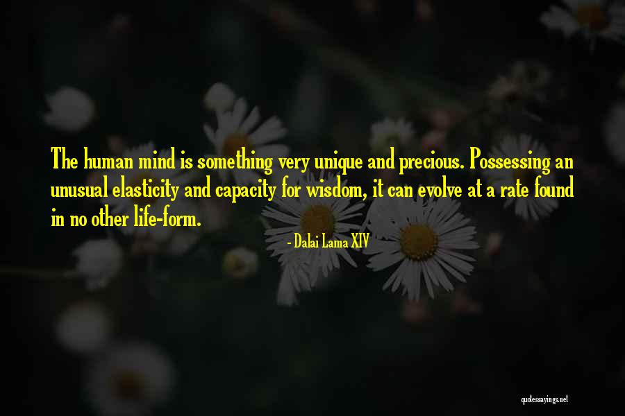 Predisporre In Inglese Quotes By Dalai Lama XIV Predisporre In Inglese Quotes By Dalai Lama XIV