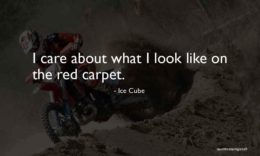 Predisposes Synonyms Quotes By Ice Cube