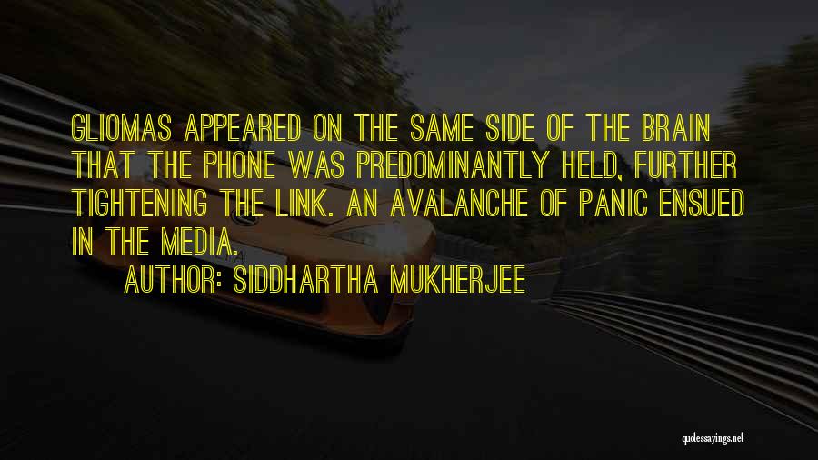 Predominantly Quotes By Siddhartha Mukherjee