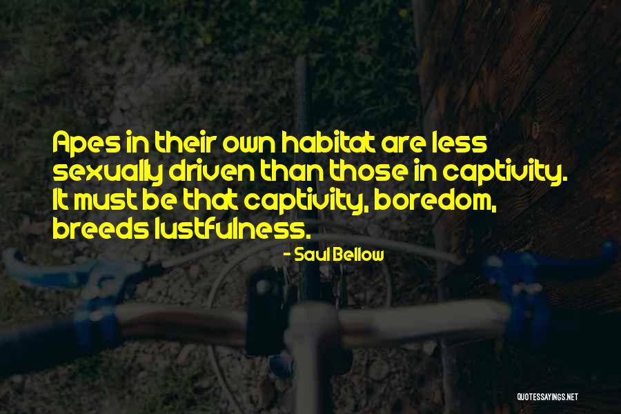 Preemie First Birthday Quotes By Saul Bellow Preemie First Birthday Quotes By Saul Bellow