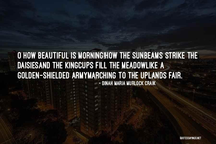 Preempts Rent Quotes By Dinah Maria Murlock Craik