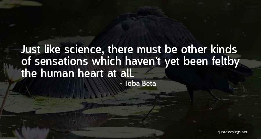 Preenchimento Anexo Quotes By Toba Beta Preenchimento Anexo Quotes By Toba Beta