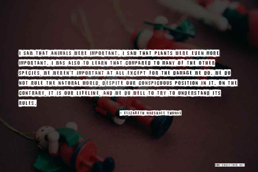 Prefabricados Quotes By Elizabeth Marshall Thomas Prefabricados Quotes By Elizabeth Marshall Thomas