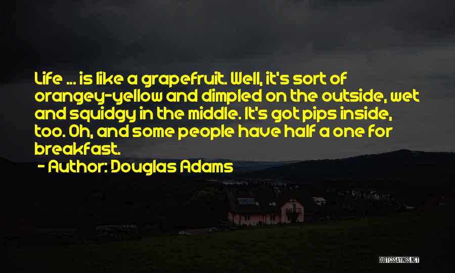 Prefect Quotes By Douglas Adams