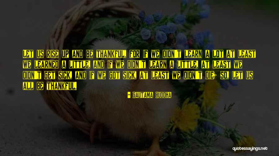 Preferimos Con Quotes By Gautama Buddha Preferimos Con Quotes By Gautama Buddha