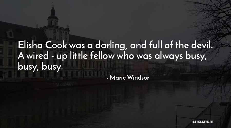 Prefetto Romano Quotes By Marie Windsor Prefetto Romano Quotes By Marie Windsor