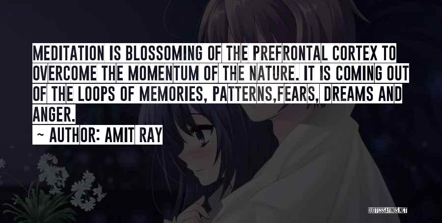Prefrontal Cortex Quotes By Amit Ray