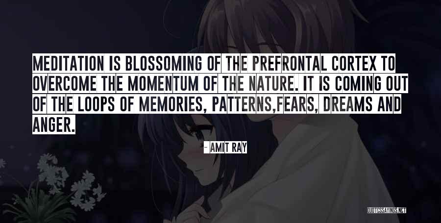 Prefrontal Cortex Quotes By Amit Ray