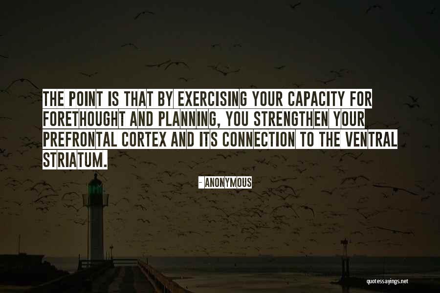 Prefrontal Cortex Quotes By Anonymous Prefrontal Cortex Quotes By Anonymous