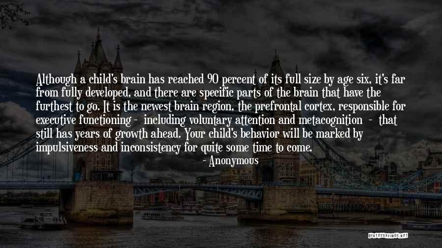 Prefrontal Cortex Quotes By Anonymous Prefrontal Cortex Quotes By Anonymous