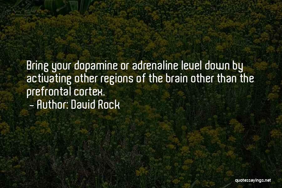 Prefrontal Cortex Quotes By David Rock