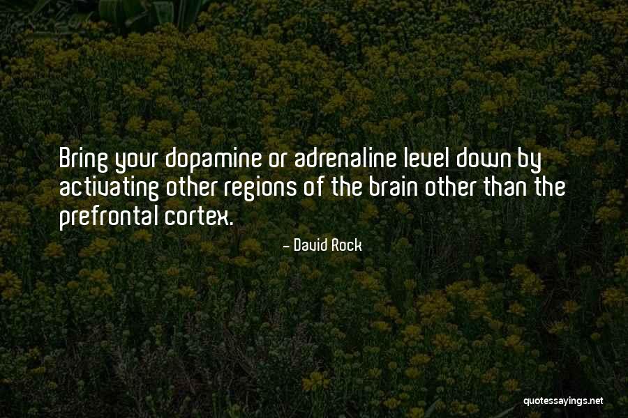 Prefrontal Cortex Quotes By David Rock