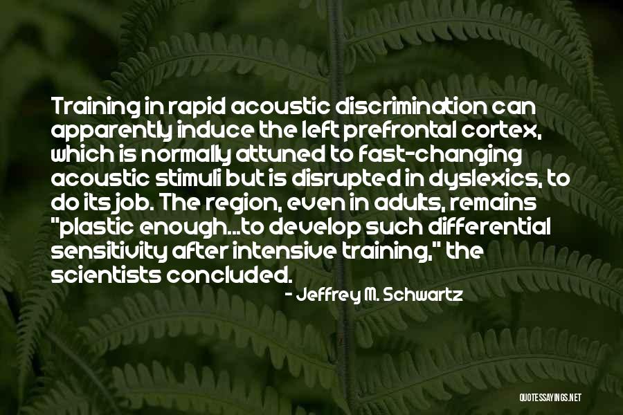 Prefrontal Cortex Quotes By Jeffrey M. Schwartz Prefrontal Cortex Quotes By Jeffrey M. Schwartz