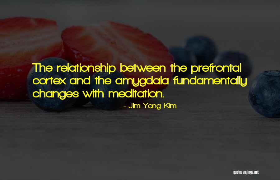 Prefrontal Cortex Quotes By Jim Yong Kim