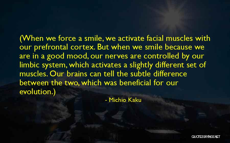 Prefrontal Cortex Quotes By Michio Kaku Prefrontal Cortex Quotes By Michio Kaku